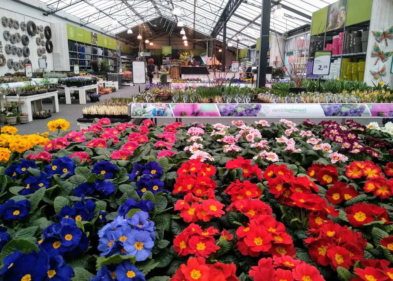 Afbeelding 5 van Tuincentrum Lagemaat