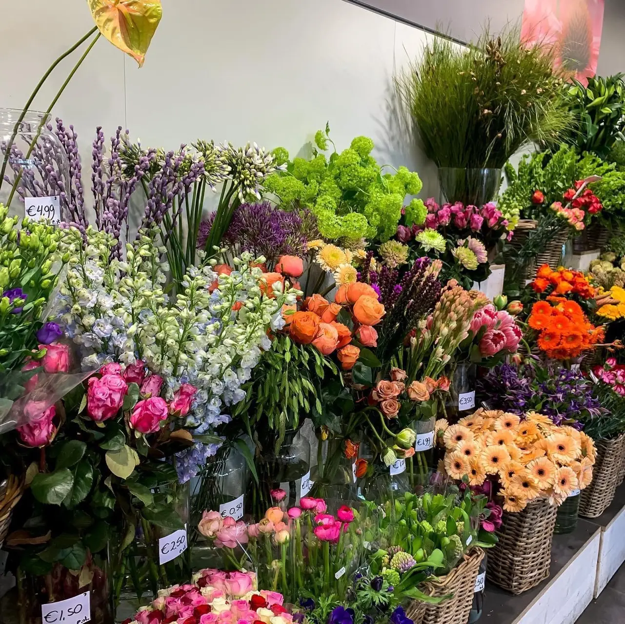 Afbeelding 4 van Tuincentrum Lagemaat