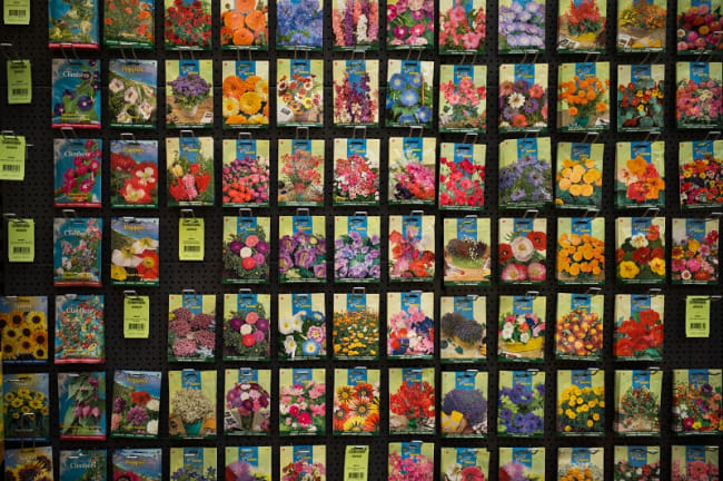 Inspiratie afbeelding Bloembollen en zaden