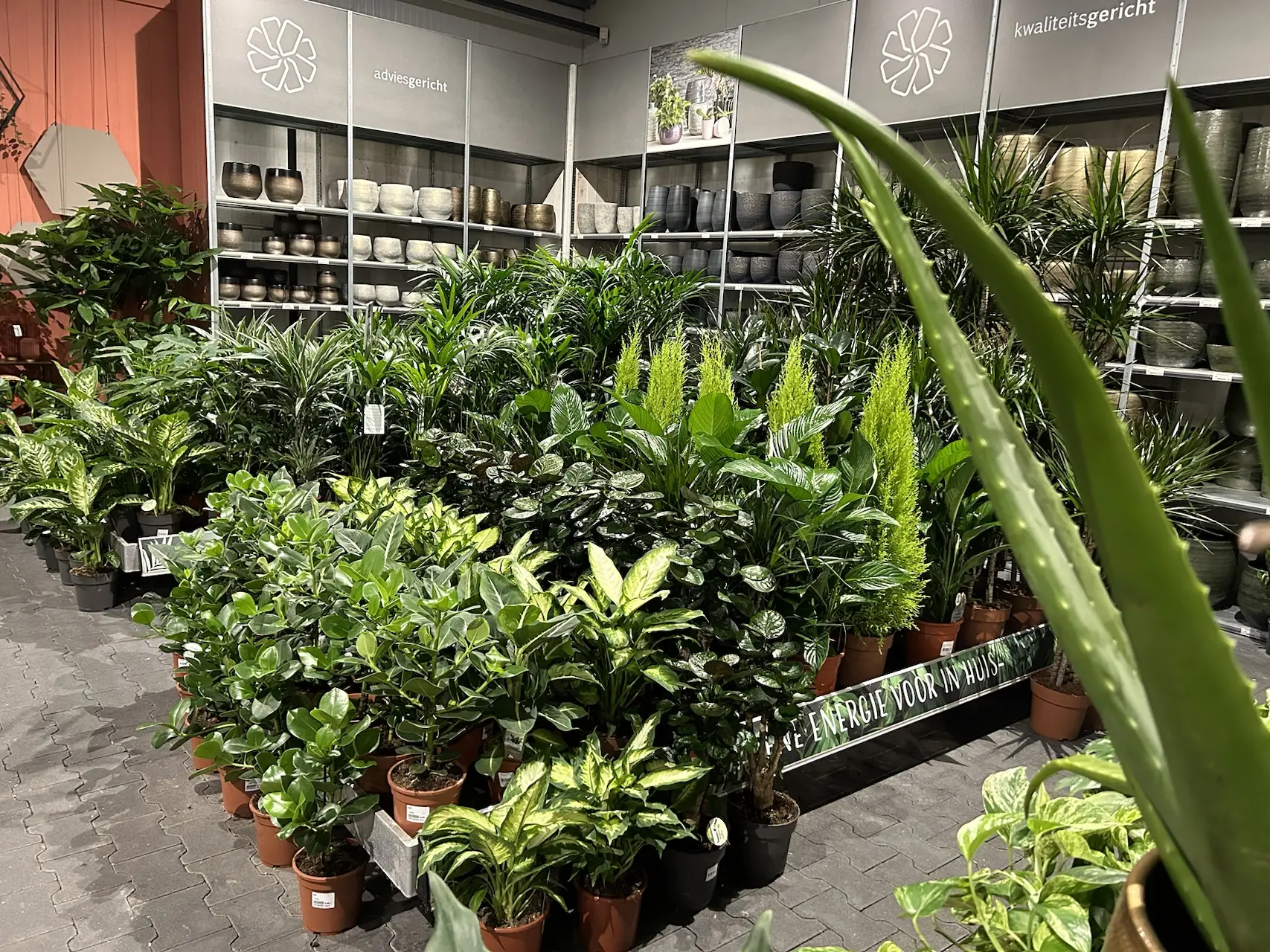 Inspiratie afbeelding Planten